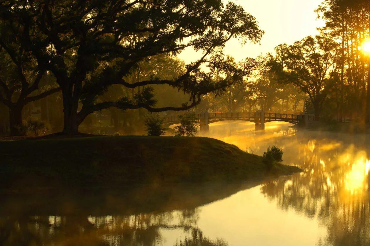Montage Palmetto Bluff Footbridge